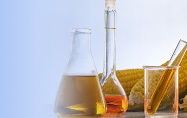  耐高温α-淀粉酶