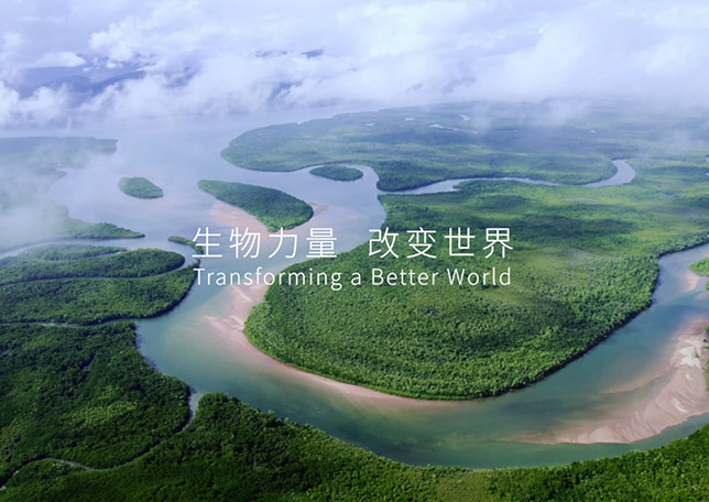 乐动品牌宣传片